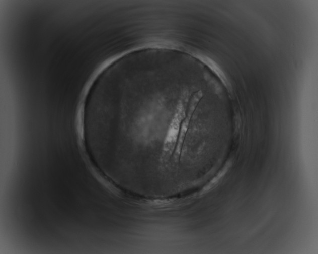 X0000100391128200806061248