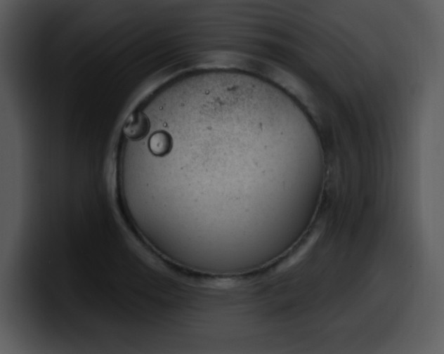 X0000100391130200806061248