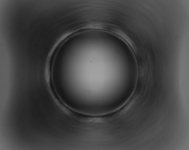 X0000100391131200806061248