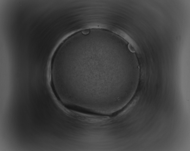 X0000100391132200806061248
