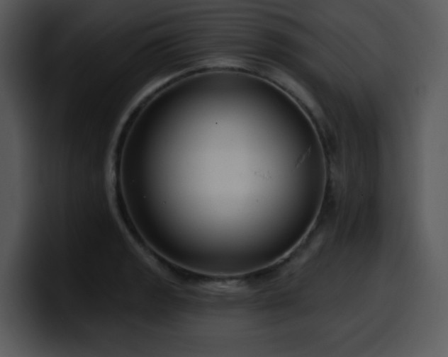 X0000100391133200806061248