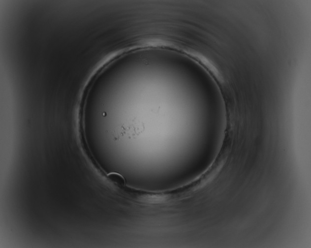 X0000100391134200806061248