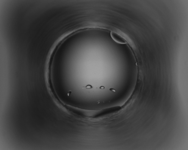 X0000100391136200806061249
