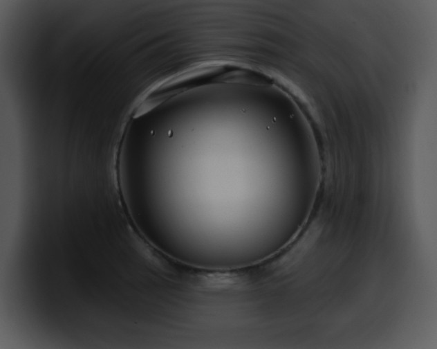 X0000100391137200806061249