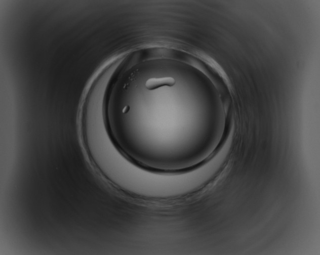 X0000100391138200806061249