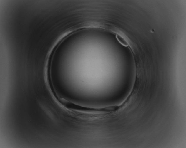 X0000100391139200806061249