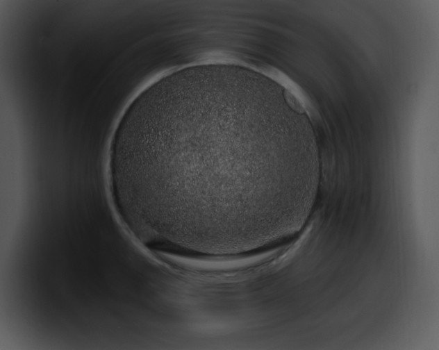 X0000100391142200806061249