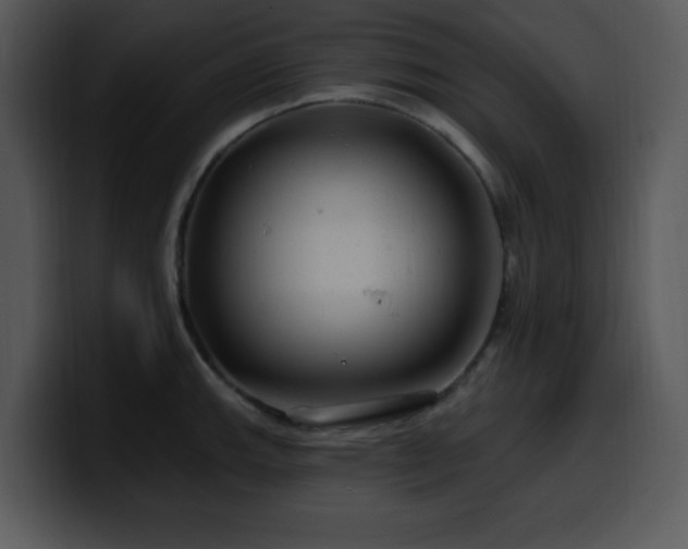 X0000100391143200806061249