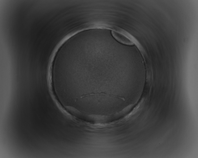 X0000100391144200806061249