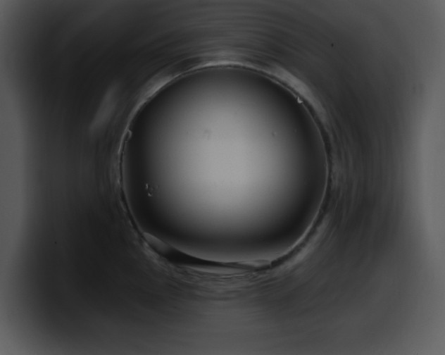 X0000100391145200806061249