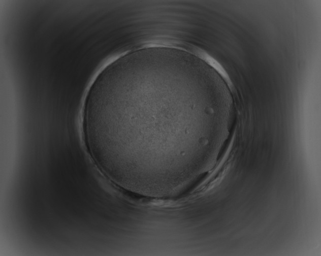X0000100391146200806061249
