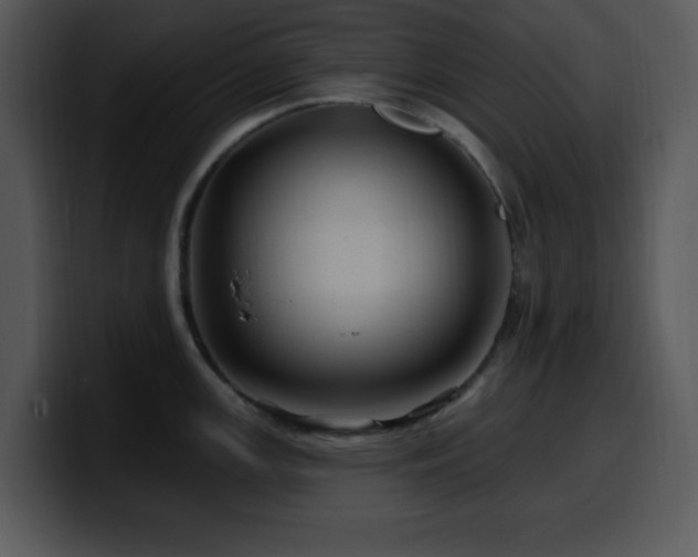 X0000100391147200806061249