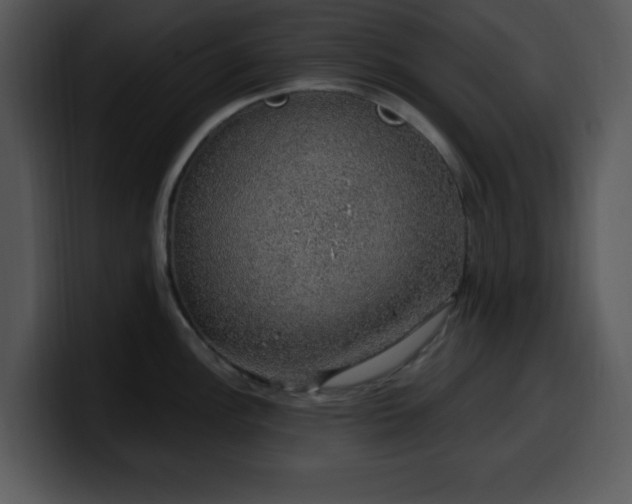 X0000100391148200806061249