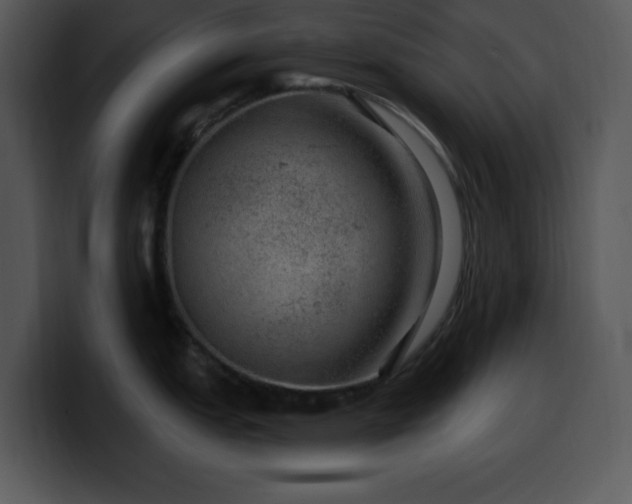 X0000100391151200806061249