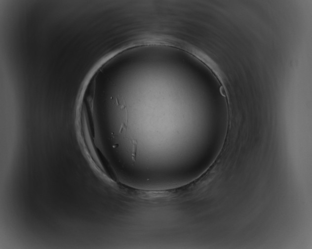 X0000100391152200806061249