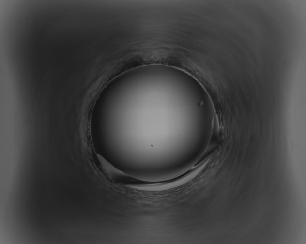 X0000100391153200806061248