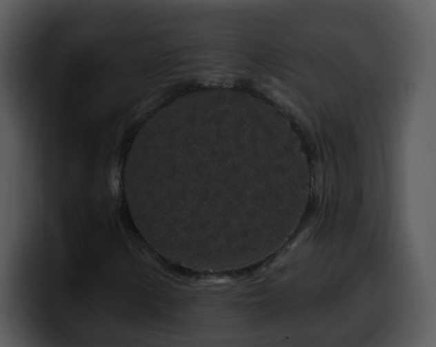 X0000100391154200806061248
