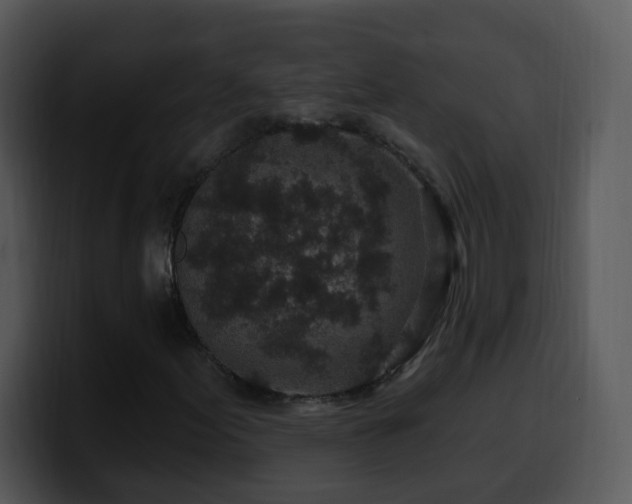 X0000100391155200806061248