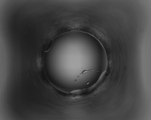 X0000100391156200806061248