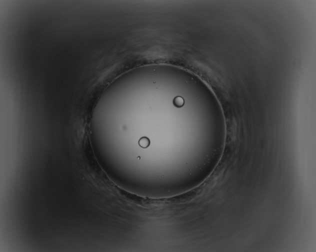 X0000100391157200806061248