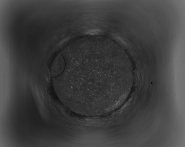 X0000100391158200806061248