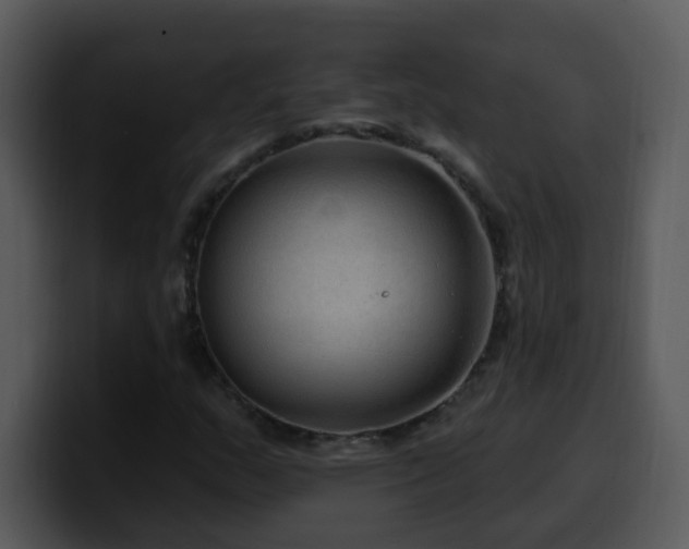 X0000100391159200806061248