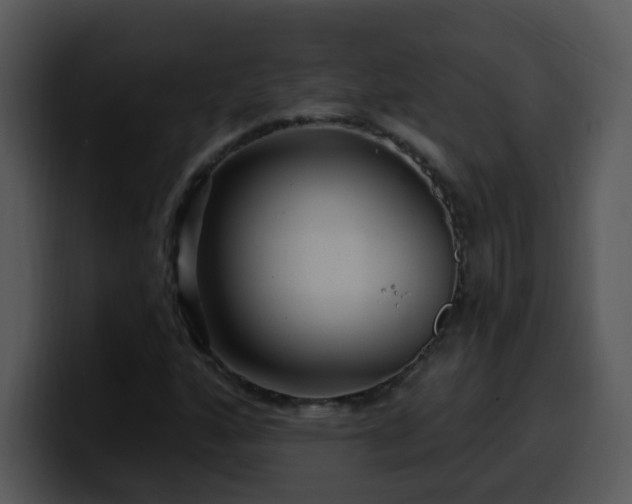 X0000100391160200806061248