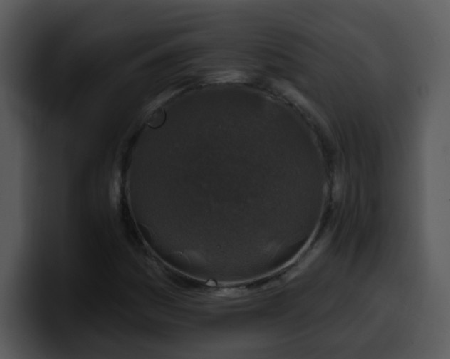 X0000100391161200806061248