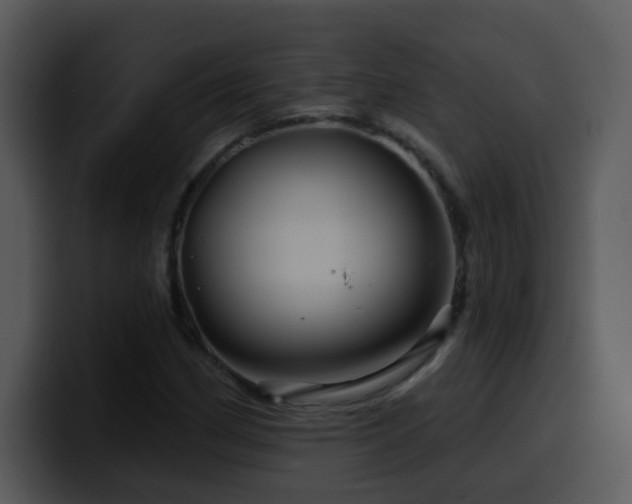 X0000100391162200806061248