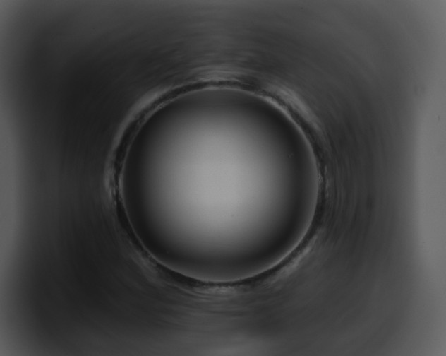 X0000100391164200806061248