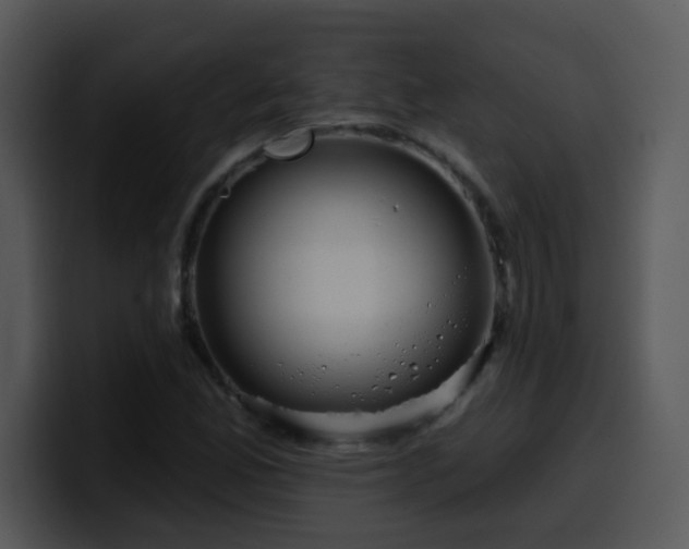 X0000100391165200806061248