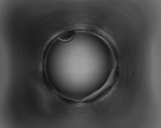 X0000100391166200806061248