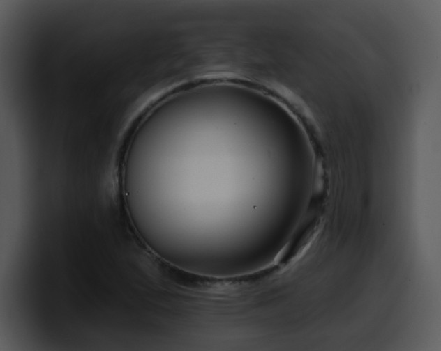 X0000100391167200806061248