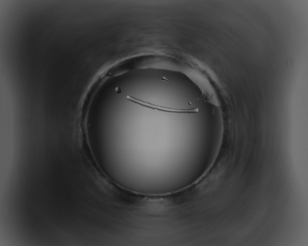 X0000100391168200806061248