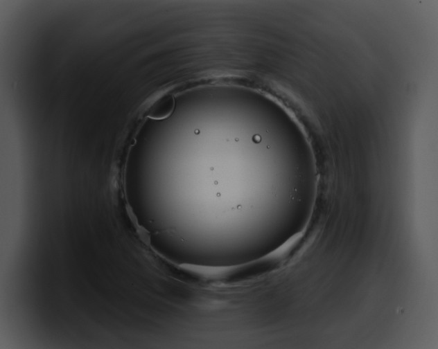 X0000100391169200806061248