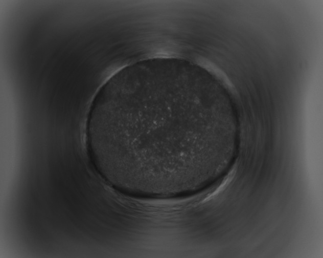 X0000100391170200806061248