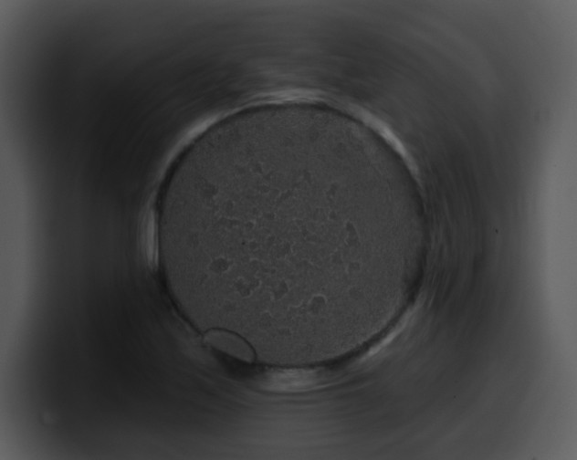 X0000100391171200806061248