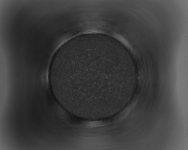X0000100391173200806061248