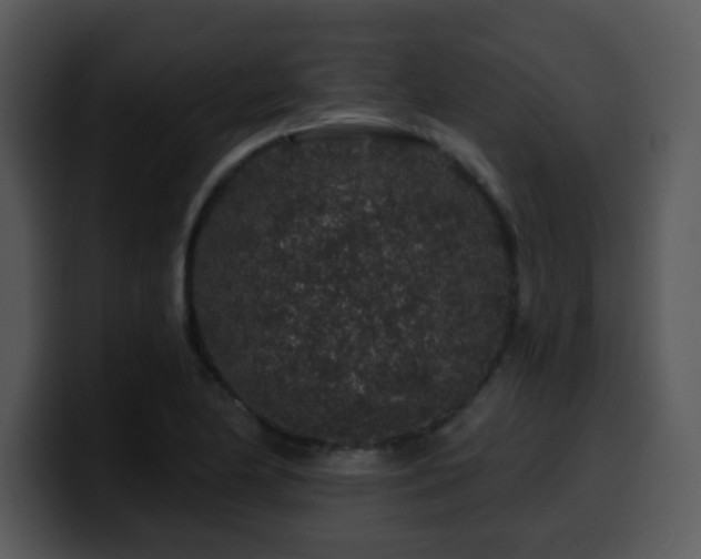 X0000100391174200806061248