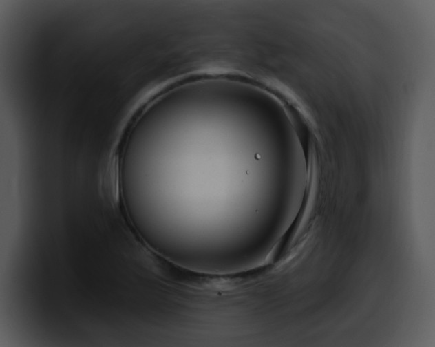 X0000100391175200806061248