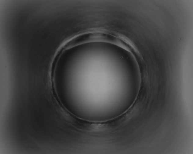 X0000100391176200806061248