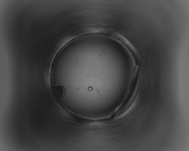 X0000100391178200806061248