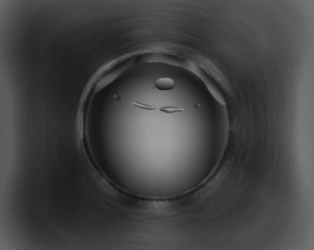 X0000100391180200806061248