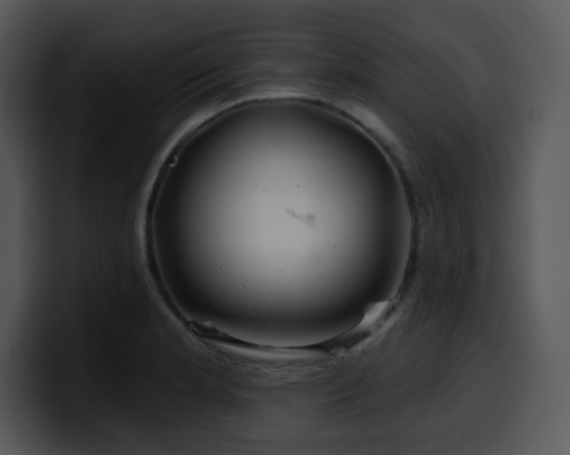 X0000100391181200806061248