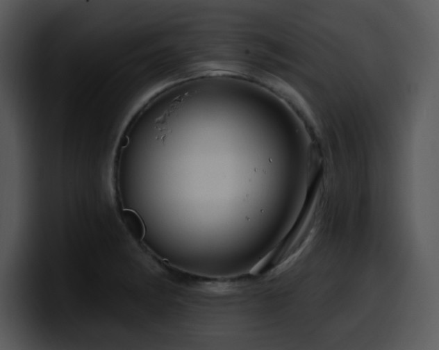 X0000100391182200806061248
