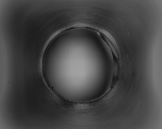 X0000100391183200806061248