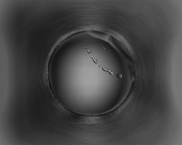 X0000100391184200806061248