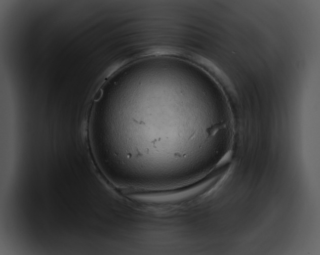 X0000100391185200806061248