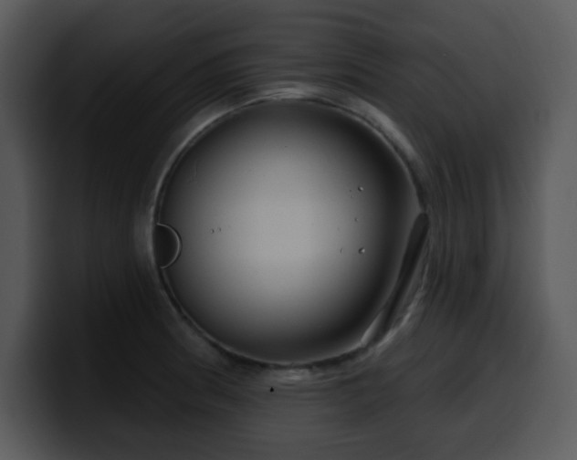 X0000100391186200806061248