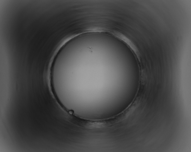 X0000100391187200806061248